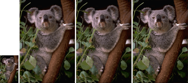 koala_merge