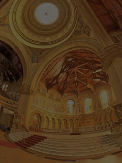 02_original_Vbeta1_Sen_01332_50